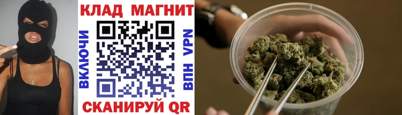 A PVP Сургут
