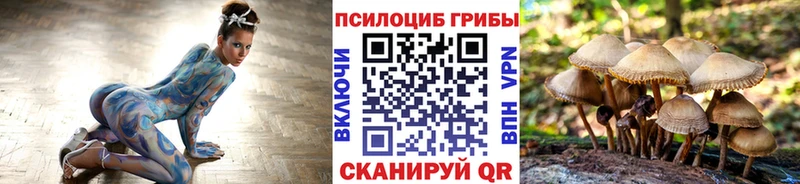 Галлюциногенные грибы мицелий darknet наркотические препараты Сургут
